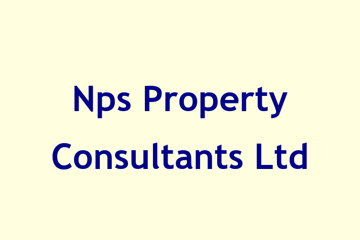 Nps Property Consultants Ltd