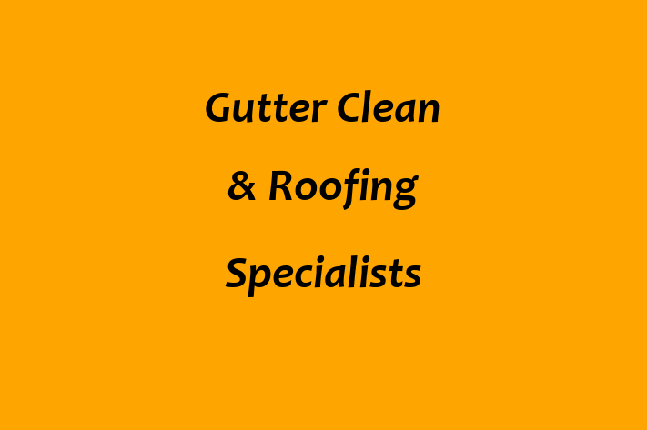 Gutter Clean & Roofing Specialists