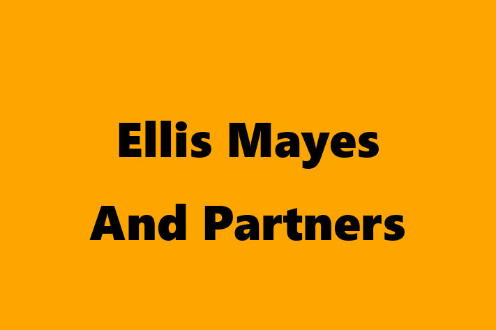 Ellis Mayes And Partners