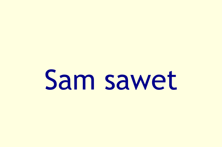 Sam sawet Cat for Sale in Carlisle