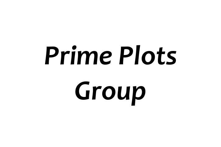 Prime Plots Group