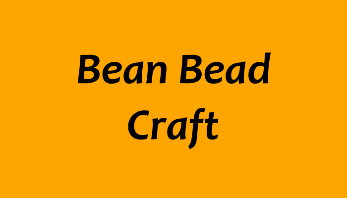 Bean Bead Craft