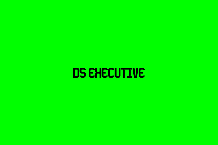 DS Executive