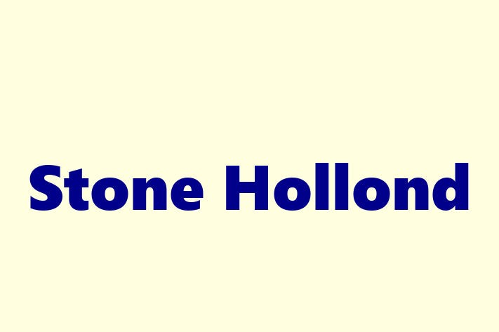 Stone Hollond