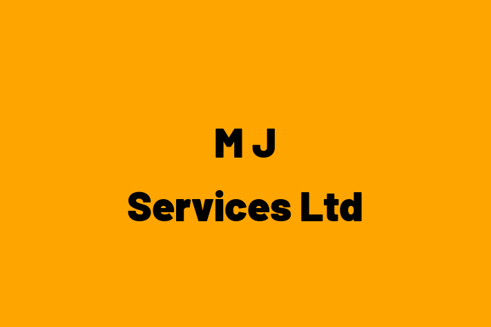 M J Services Ltd