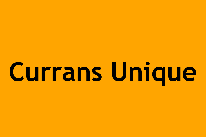 Currans Unique