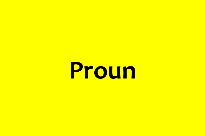 Proun