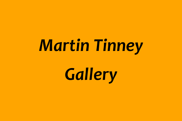 Martin Tinney Gallery