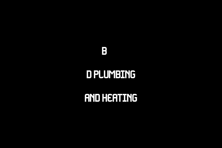 B & D plumbing and heating