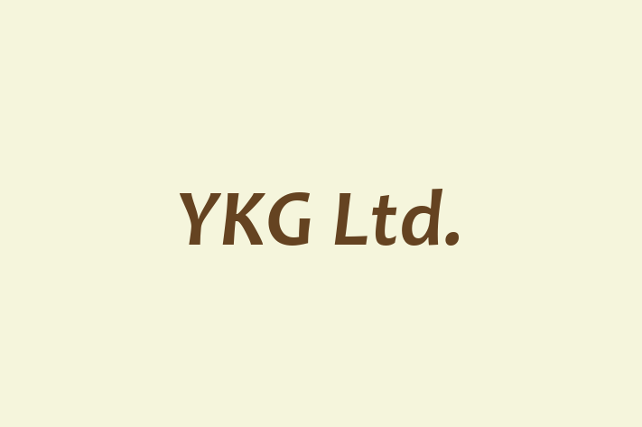 YKG Ltd 