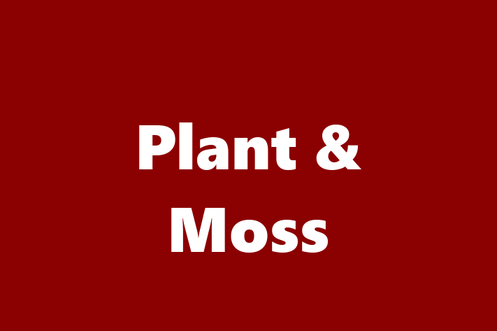 Plant & Moss