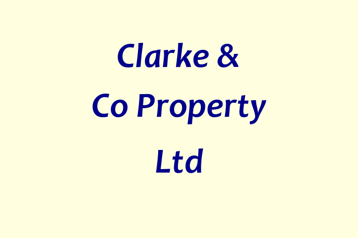 Clarke & Co Property Ltd