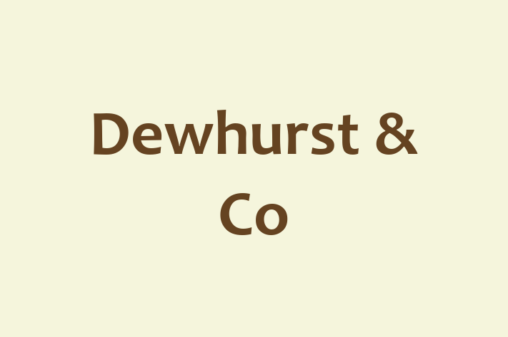 Dewhurst & Co