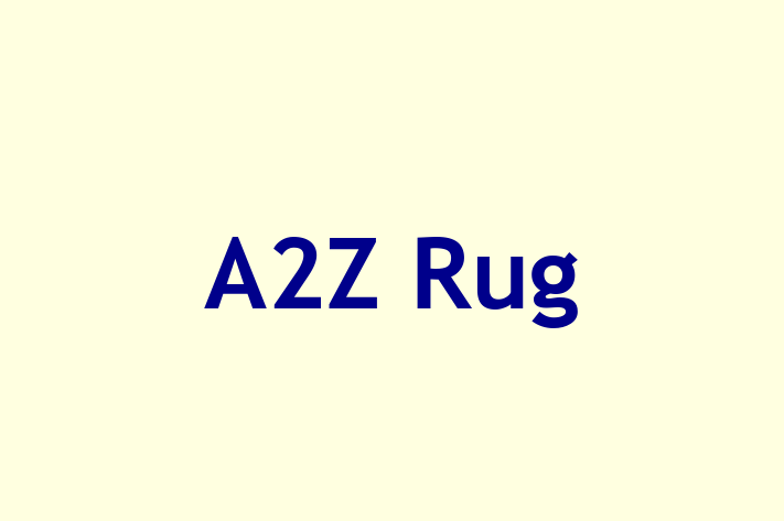 A2Z Rug