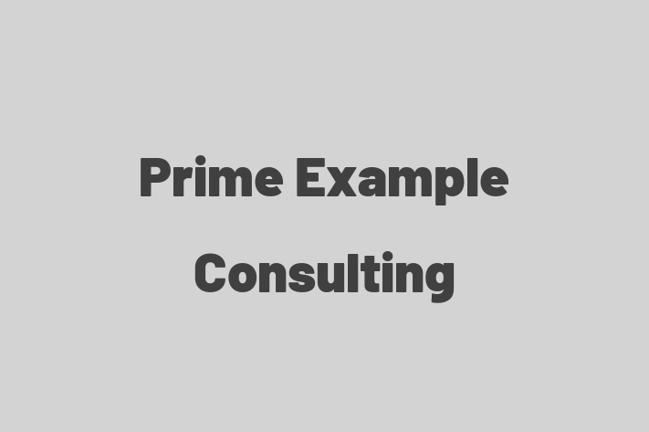 Prime Example Consulting