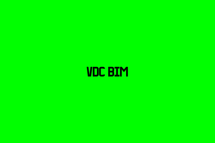 VDC BIM