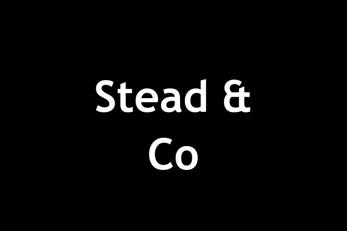 Stead & Co