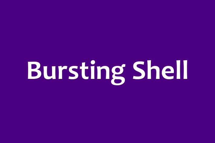 Bursting Shell