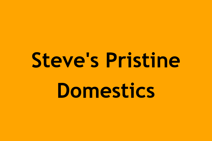 Steve's Pristine Domestics