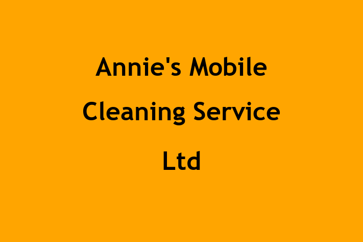 Annie's Mobile Cleaning Service Ltd