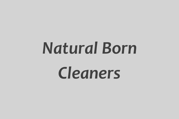 Natural Born Cleaners