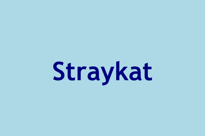 Straykat