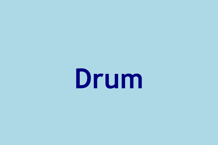 Drum