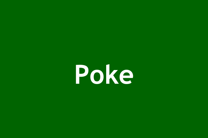 Poke