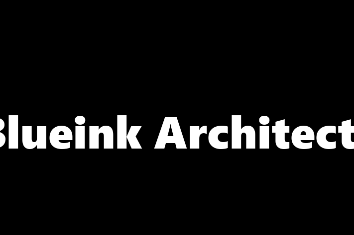 Blueink Architects