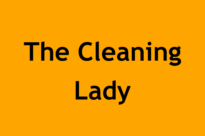 The Cleaning Lady