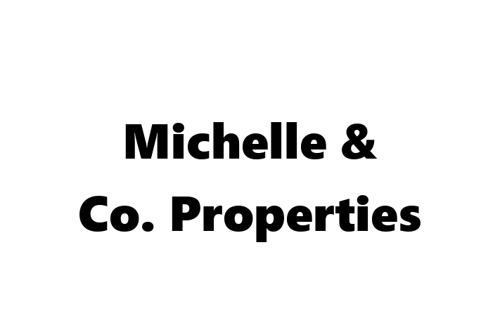 Michelle & Co  Properties