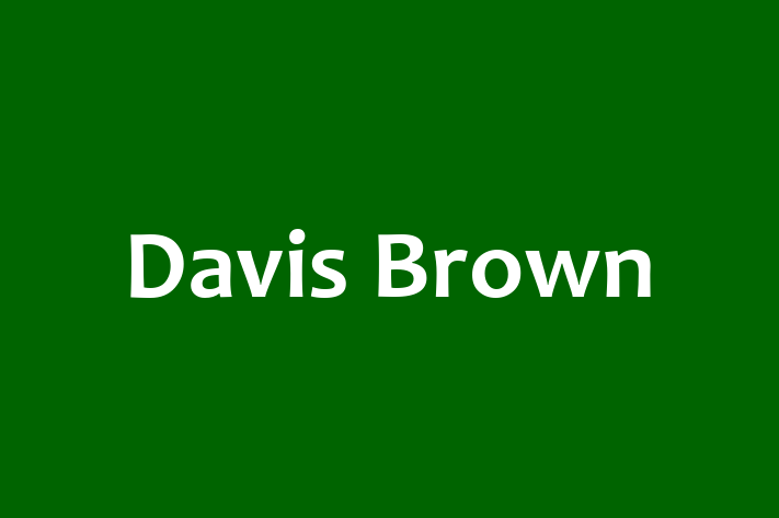 Davis Brown