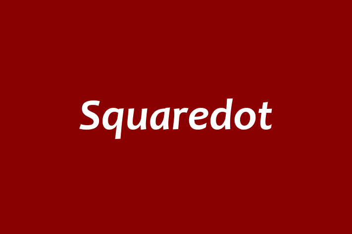 Squaredot