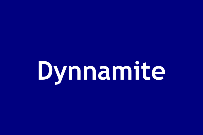 Dynnamite