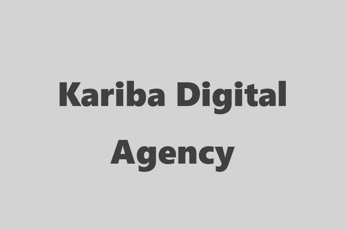 Kariba Digital Agency