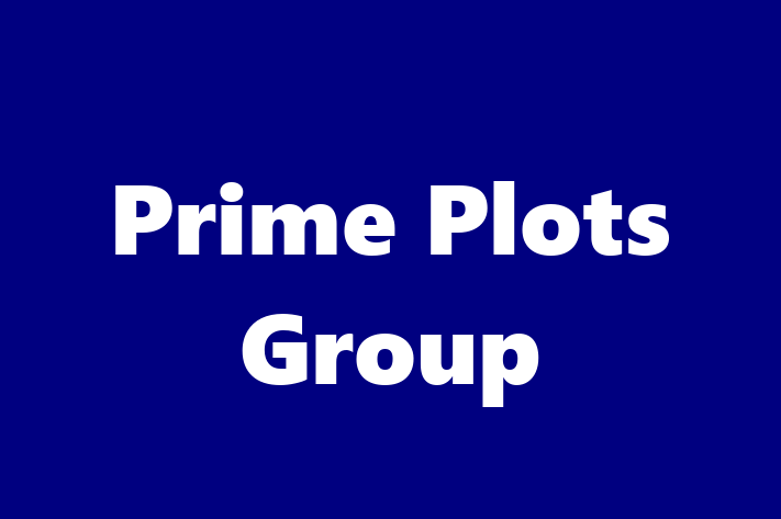 Prime Plots Group