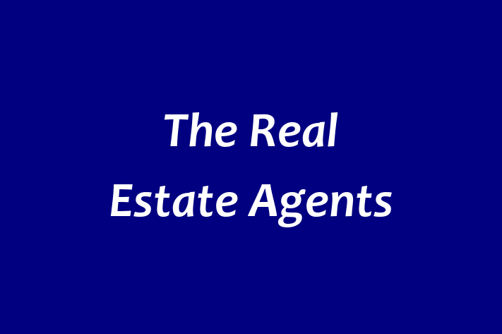 The Real Estate Agents