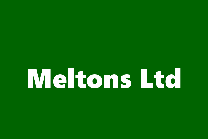 Meltons Ltd