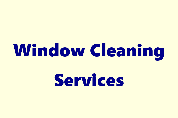 Window Cleaning Services