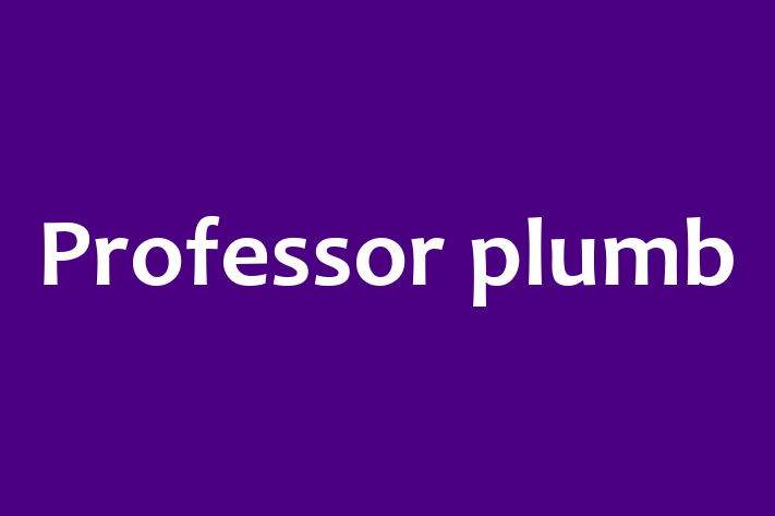 Professor plumb