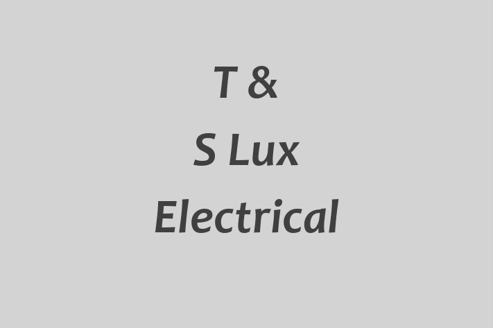 T & S Lux Electrical