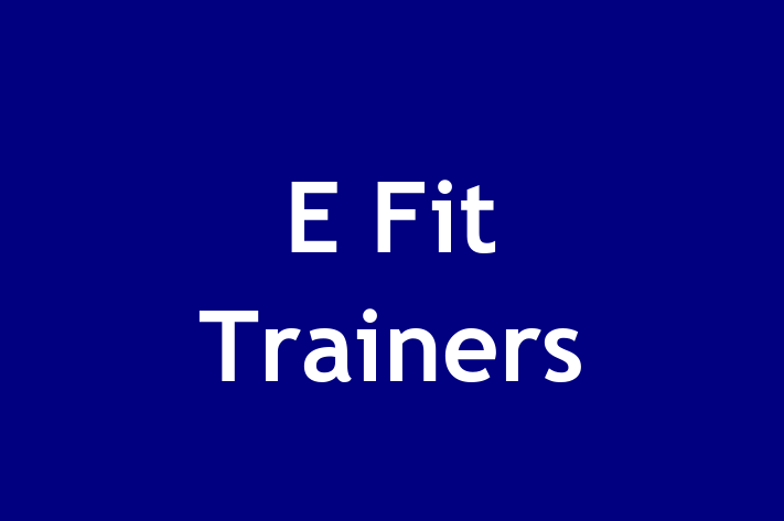 E Fit Trainers