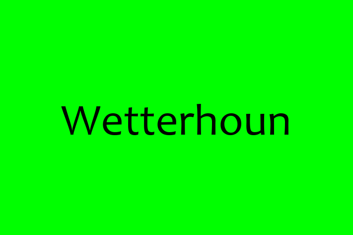 Wetterhoun for Sale in Andover