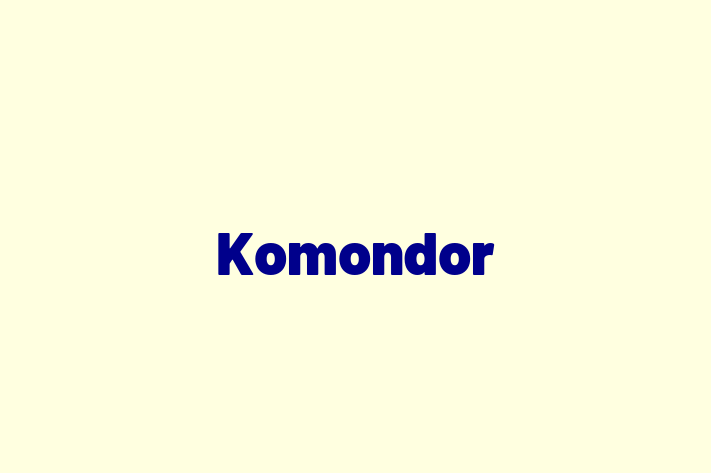 Komondor Dog for Adoption in Dudley