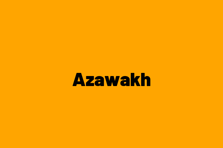 Charming Azawakh Dog for Sale in Kendal