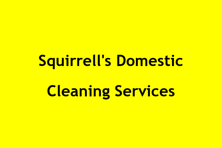 Squirrell's Domestic Cleaning Services