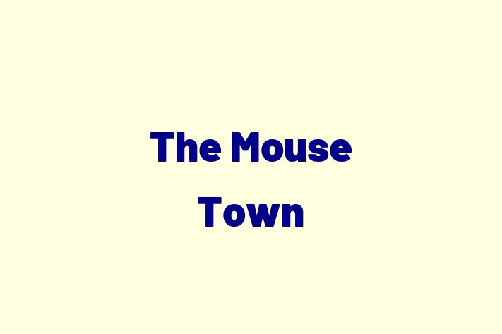 The Mouse Town