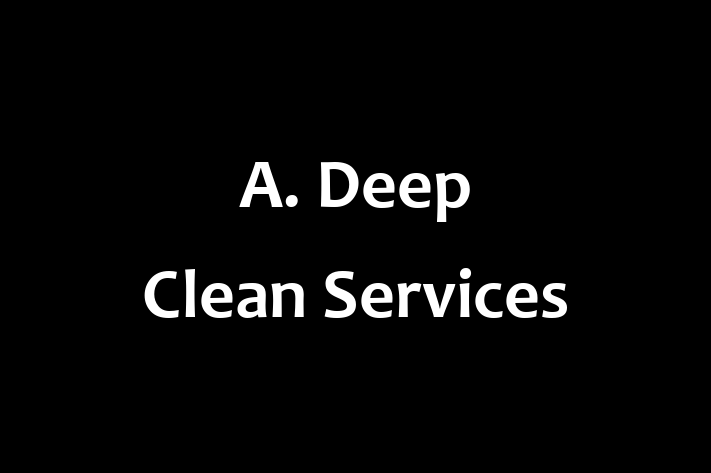 A  Deep Clean Services