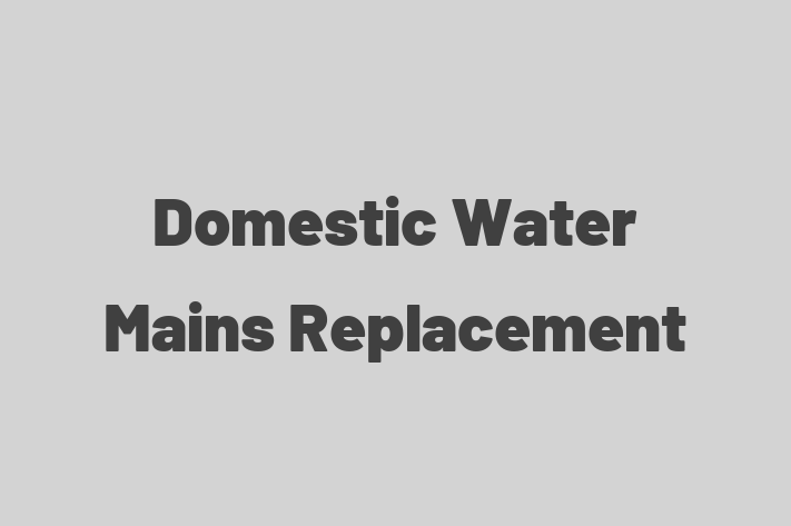 Domestic Water Mains Replacement