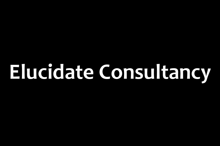 Elucidate Consultancy